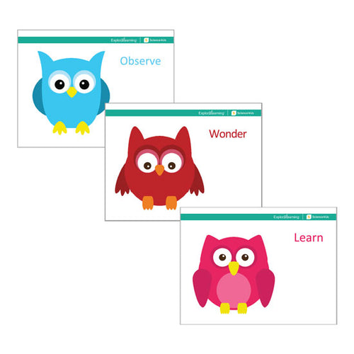 Explore Learning Science4Us Owl Poster Pack - 3 Posters